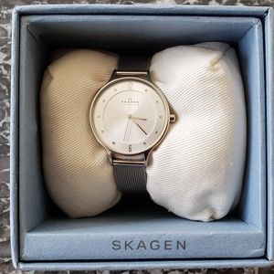 Skagen Ladies Anita Silver Mesh Watch